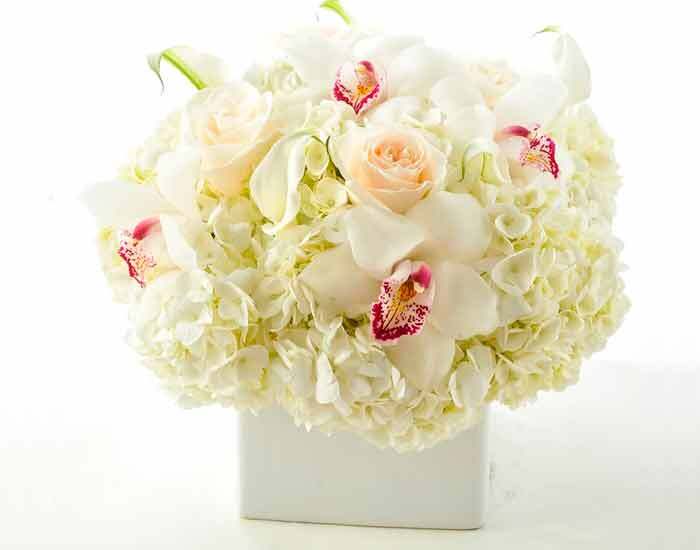 Elegante composición de Orquídeas y Hortensias | VERONA