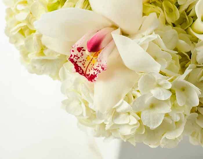 Elegante composición de Orquídeas y Hortensias | VERONA