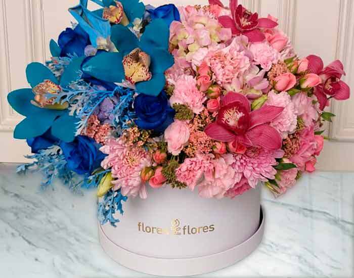 Orquideas bicolor con rosas | CLICHY