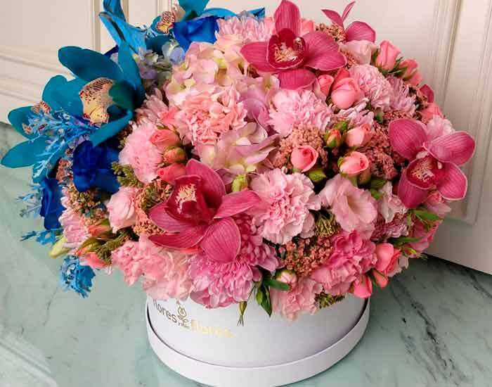Orquideas bicolor con rosas | CLICHY