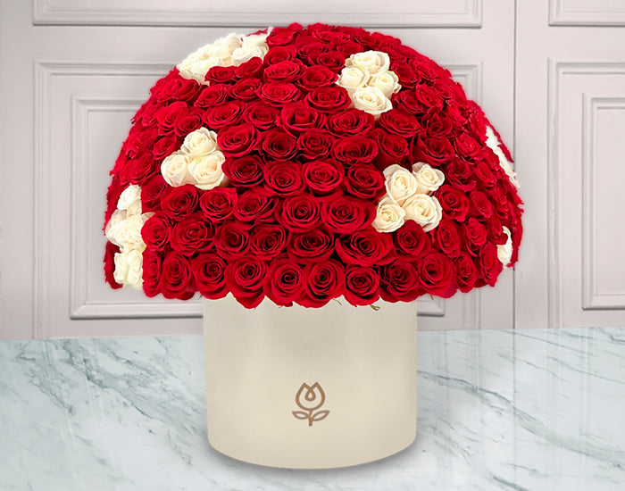 150 Rosas Rojas y Blancas en caja | JULIA