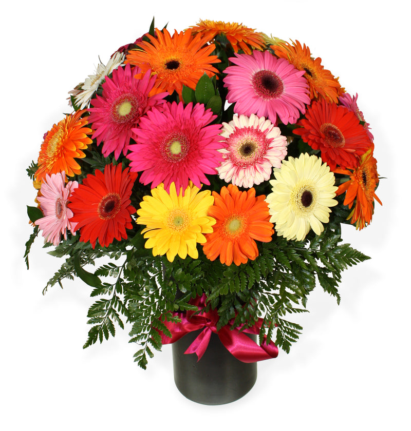 Bouquet de Gerberas | ABRAZO