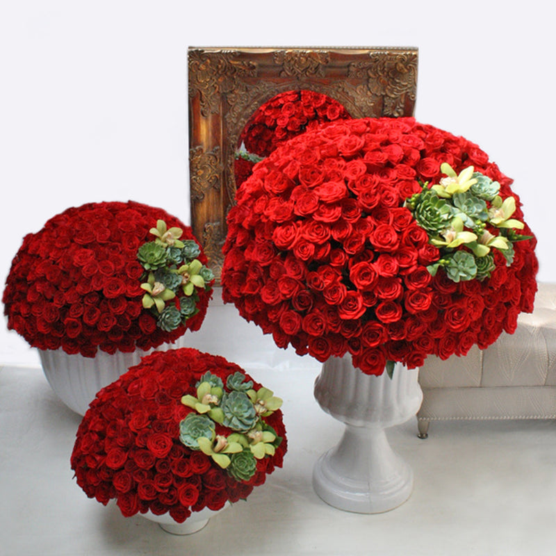 Mil Rosas Rojas | ELIZABETH