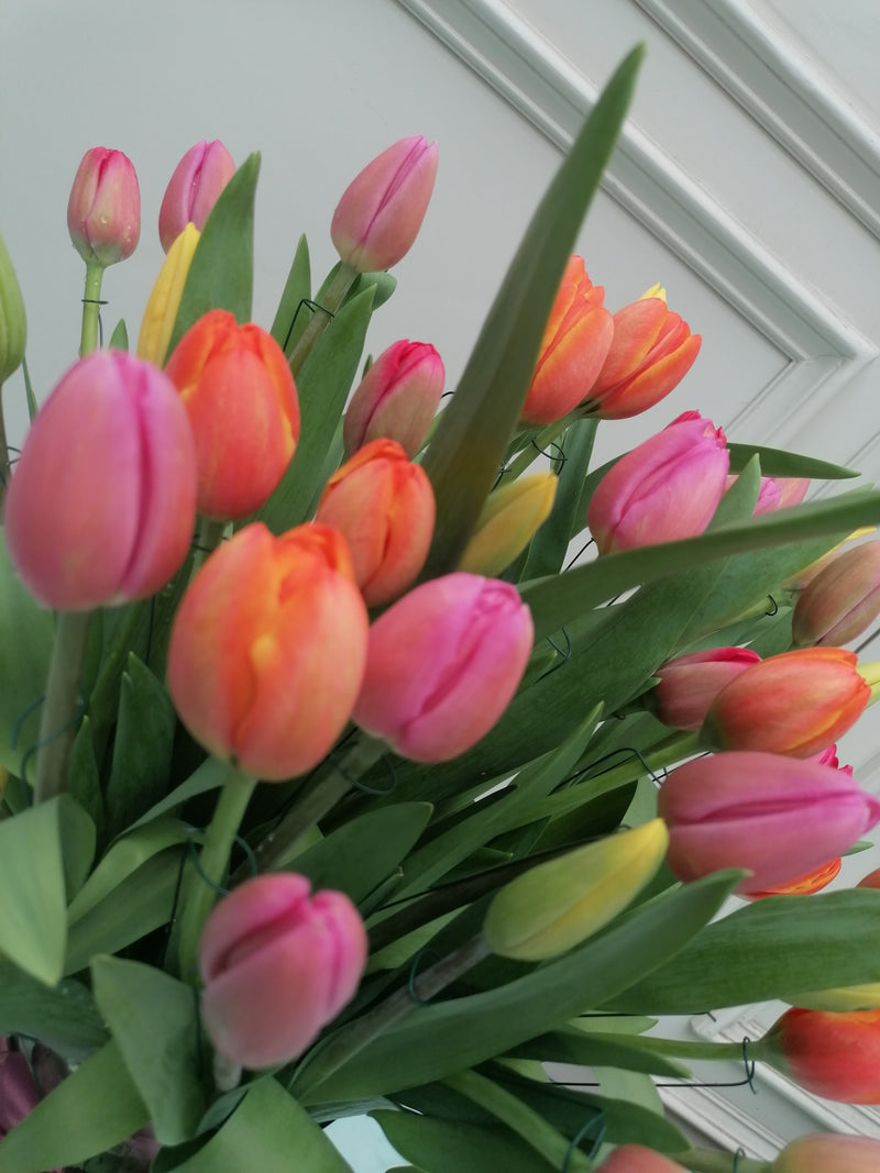 Bouquet 40 Tulipanes Frescos | CHIARA