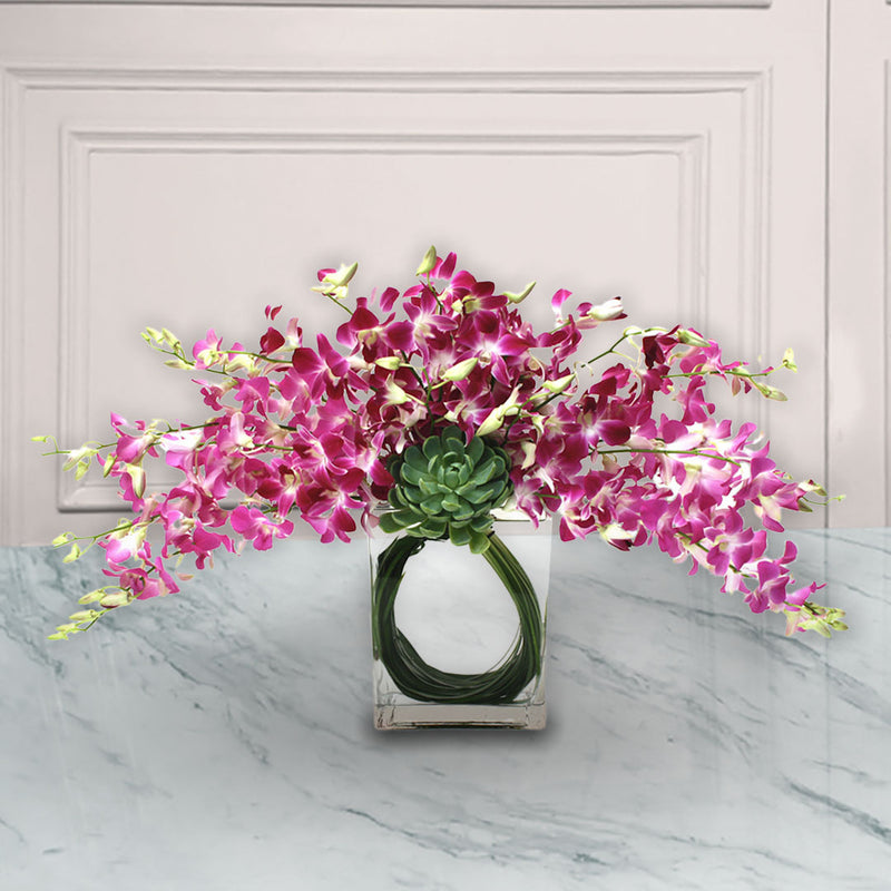 Arreglo Floral Orquideas Dendrobium | CELEBRACION
