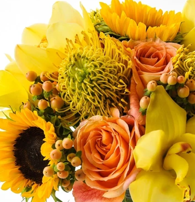 Girasoles con Rosas premium | FERRARA