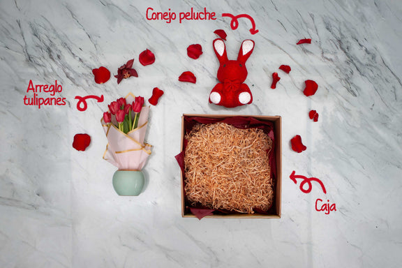 Kit de Regalo con Tulipanes y Chocolates | Carlotta