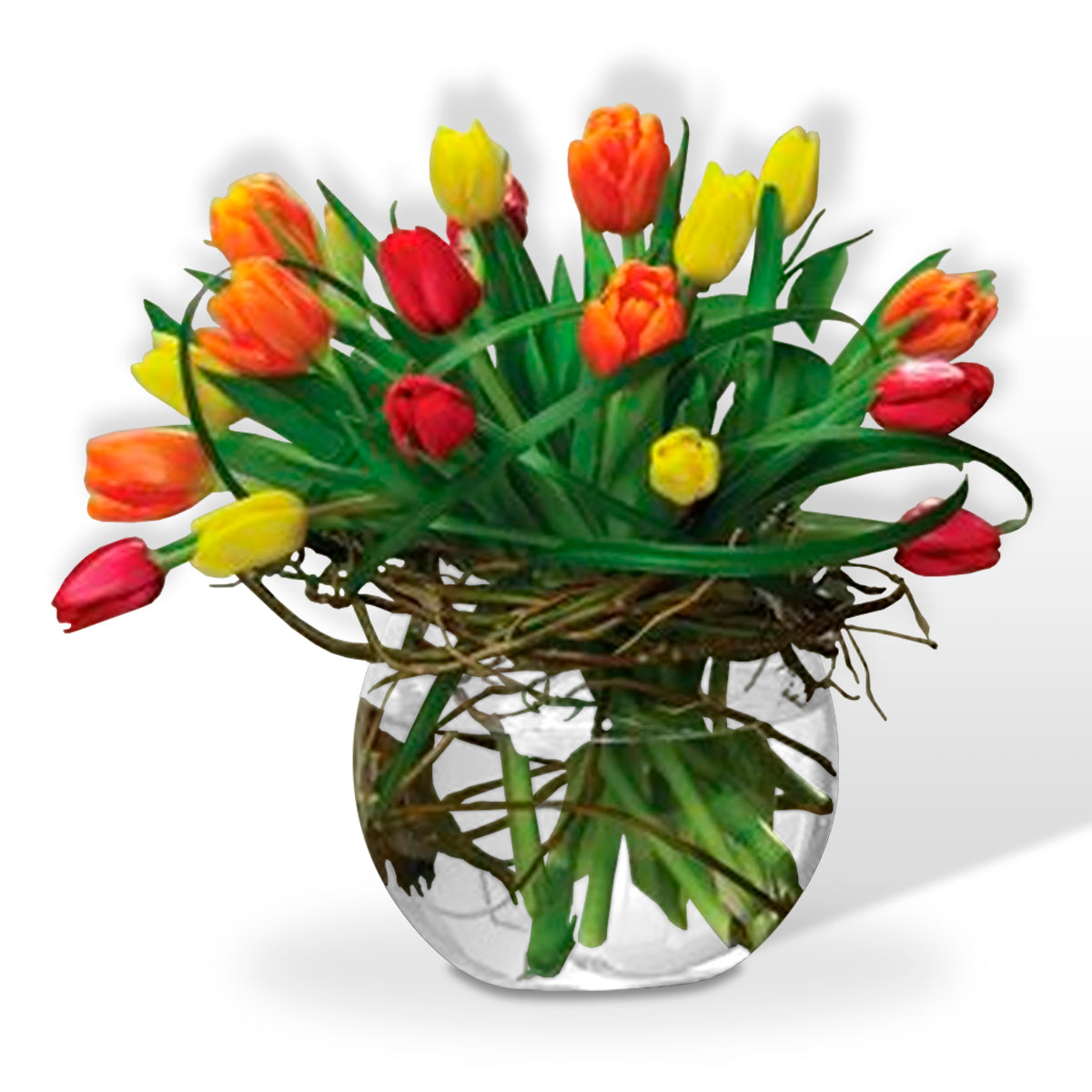 Arreglo de 40 Tulipanes Multicolor | ESPLENDIDO