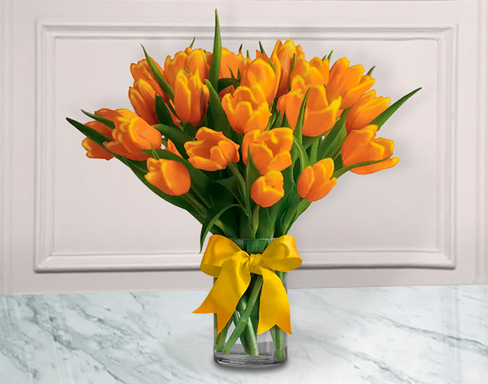 Bouquet de 20 Tulipanes | ALESSIA