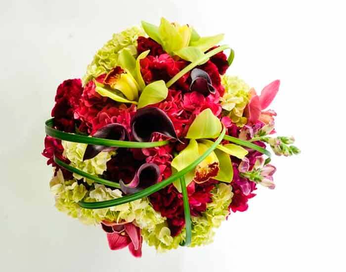 Orquídeas Hortensias y Callas | BOLONIA