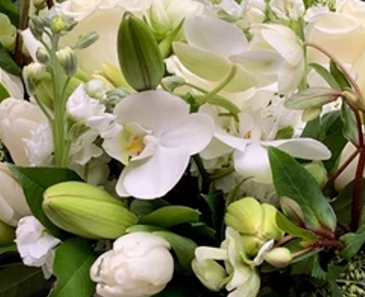 Orquídeas Lilies Tulipanes y Rosas | ORVIETO