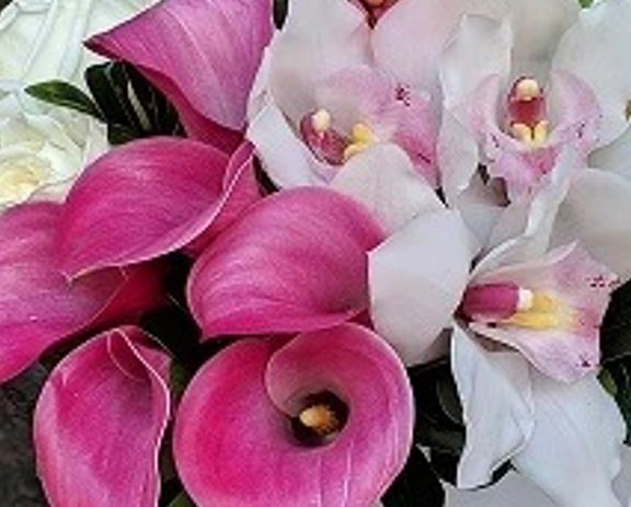 Callas Lilies y Orquídeas | NORCIA
