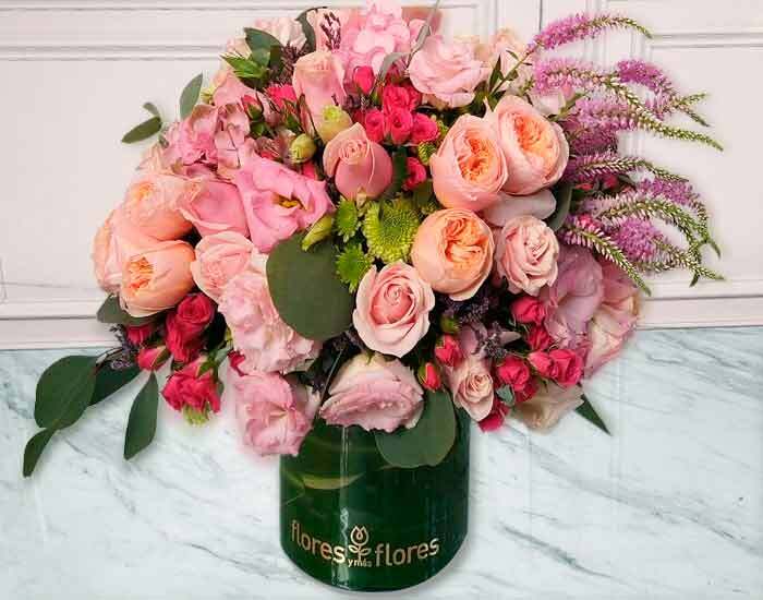 Variedad de Rosas premium | POSITANO