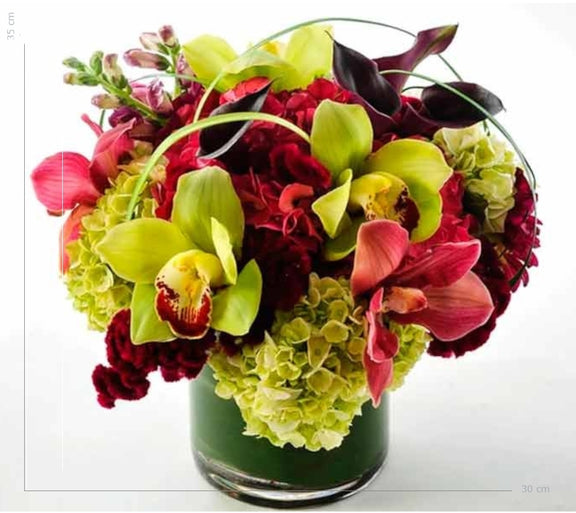 Orquídeas Hortensias y Callas | BOLONIA