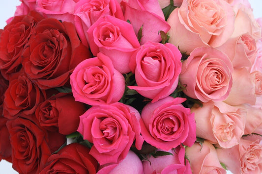 Lujosa Caja de 80 Rosas Premium | CHANEL