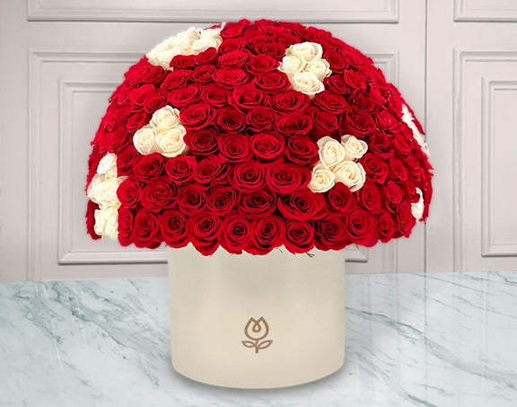 150 Rosas Rojas y Blancas en caja | JULIA