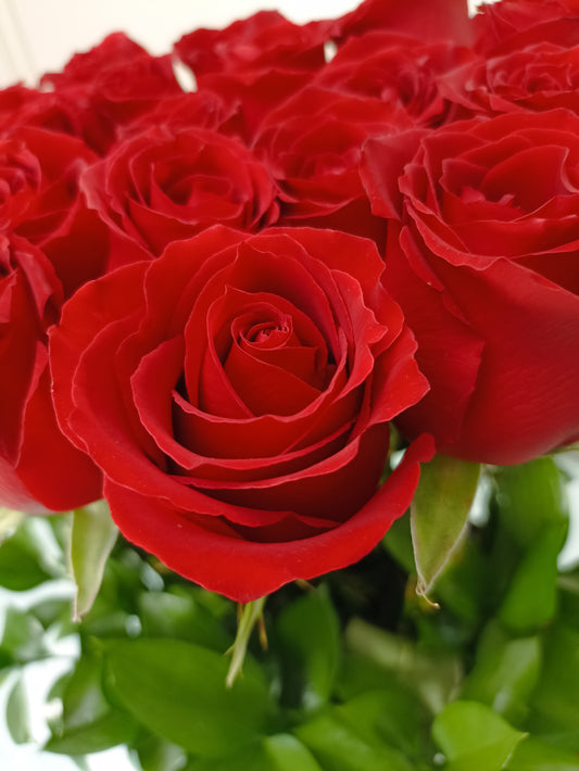 Bouquet de 24 Rosas Premium | ZOE