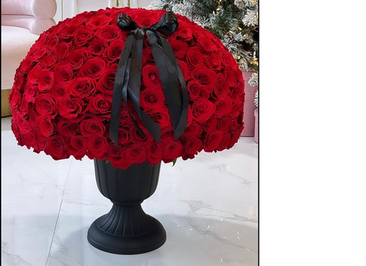 500 Rosas Espectaculares | FIVEHUNDRED