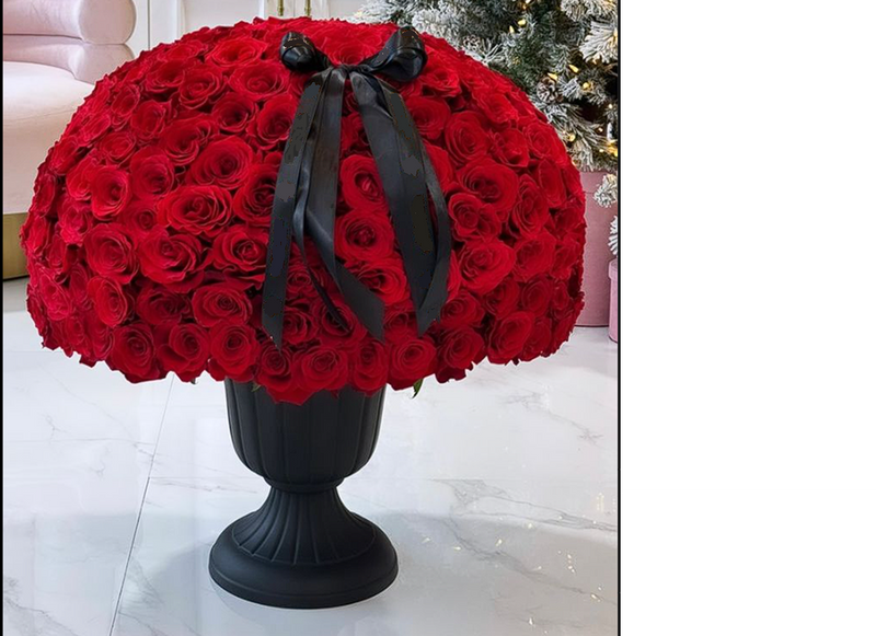 500 Rosas Espectaculares | FIVEHUNDRED