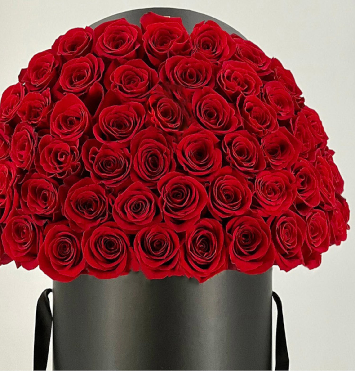 500 Rosas Espectaculares | FIVEHUNDRED