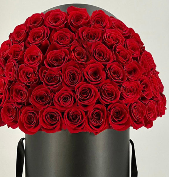 500 Rosas Espectaculares | FIVEHUNDRED