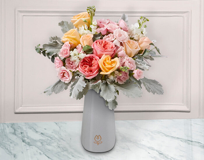 Arreglo de Rosas con Suculenta | SOPHIA