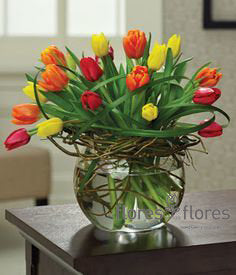 Arreglo de 40 Tulipanes Multicolor | ESPLENDIDO