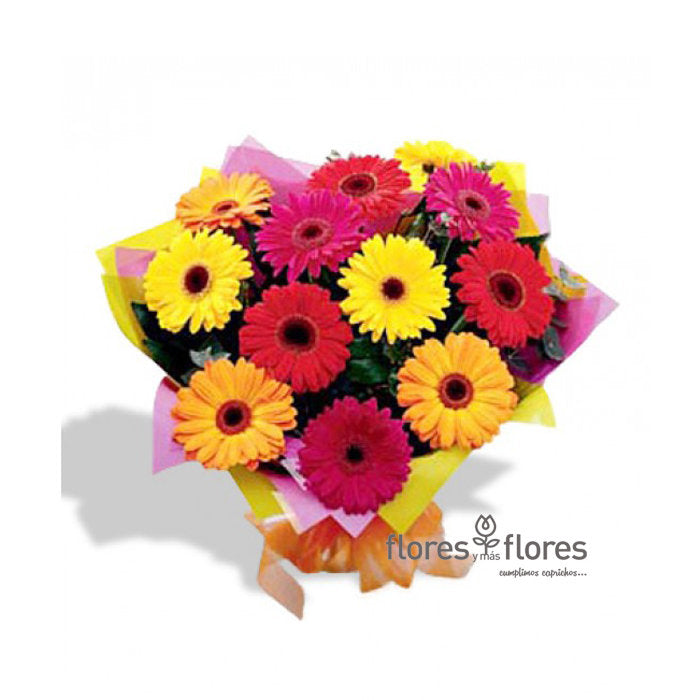 Ramo de Gerberas | DIVERSO
