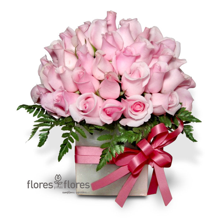 50 Rosas en Base de Cera | TENAZ