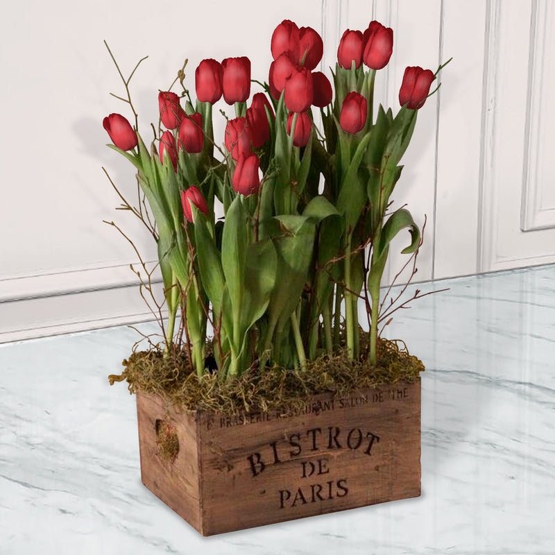 Caja de Madera con 15 Tulipanes Rojos | BISTROT