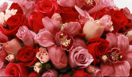 Caja Redonda con Orquídeas y 125 Rosas | MICHELLE