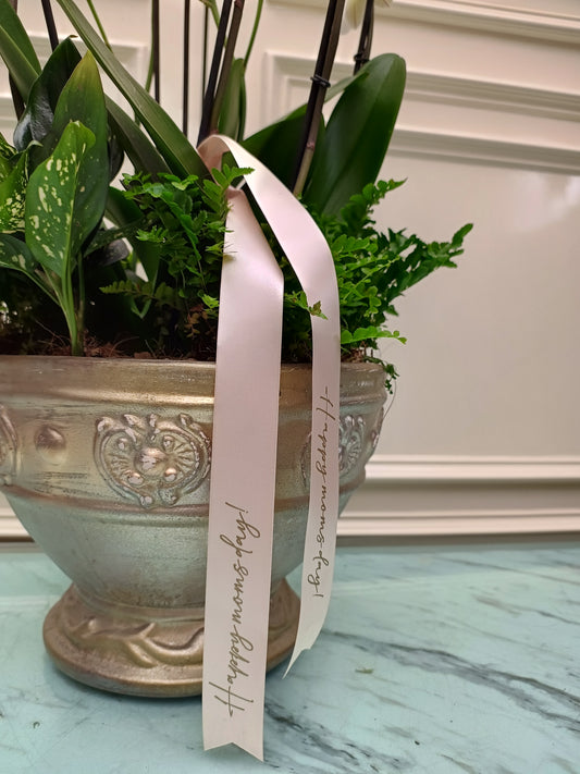 Kit de Regalo con Orquídea, Chocolates y Globos | Karoline