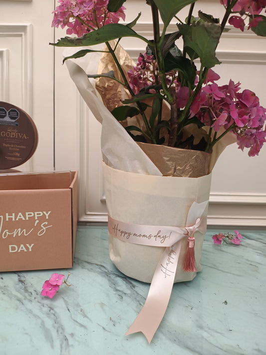 Dulzura floral con hortensia rosa y detalles especiales | Magdalena