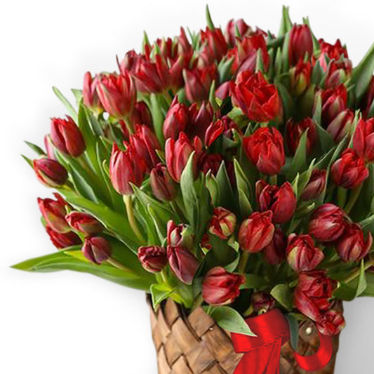 Canasto de 100 Tulipanes Rojos | INÉS