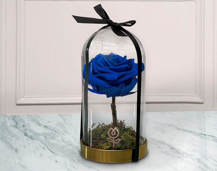 Rosa Azul Eterna en Cúpula de Cristal | LAURA