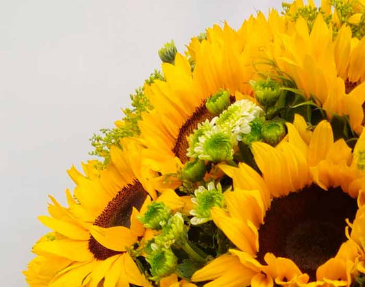 Bouquet de Girasoles Premium | MARSEILLE