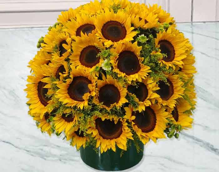 Bouquet de Girasoles Premium | MARSEILLE