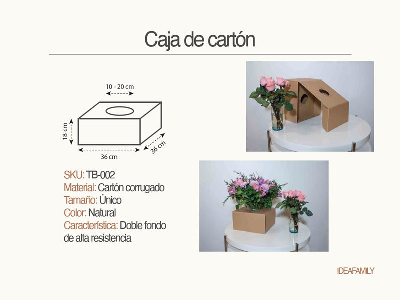 Caja de carton corrugado con 40 Pzas | Caja 